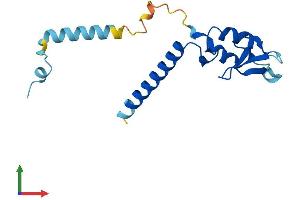AlphaFold protein structure predicition of Human Recombinant RNF181 Protein, UniprotID Q9P0P0