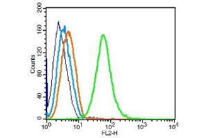 Raji cells probed with 	Transferrin receptor Polyclonal Antibody, Unconjugated  at 1:100 for 30 minutes followed by incubation with a conjugated secondary (PE Conjugated) (green) for 30 minutes compared to control cells (blue), secondary only (light blue) and isotype control (orange).