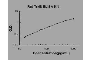 Typical Standard Curve