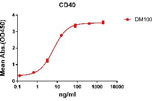 ELISA plate pre-coated by 2 μg/mL (100 μL/well) Human CD40 protein, mFc-His tagged protein ABIN6961088, ABIN7042205 and ABIN7042206 can bind Rabbit anti-CD40 monoclonal antibody (clone: DM100) in a linear range of 0.
