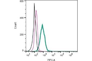 anti-Glucagon-Like Peptide 1 Receptor (GLP1R) (AA 288-301), (Extracellular) antibody (FITC)