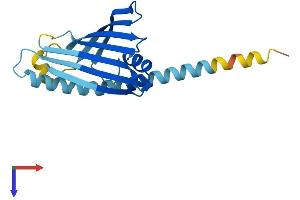 AlphaFold protein structure predicition of Human Recombinant PRELID3B Protein, UniprotID Q9Y3B1