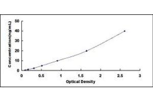 Typical standard curve (IFNAR2 Kit ELISA)