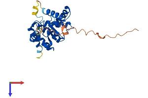 AlphaFold protein structure predicition of Human Recombinant ATP23 Protein, UniprotID Q9Y6H3