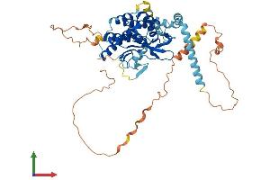 AlphaFold protein structure predicition of Human Recombinant PNPLA2 Protein, UniprotID Q96AD5