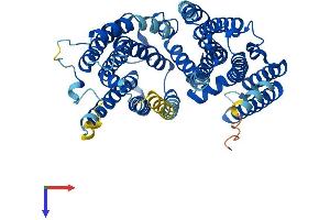 AlphaFold protein structure predicition of Human Recombinant RFT1 Protein, UniprotID Q96AA3