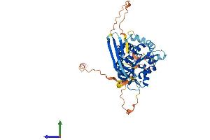 AlphaFold protein structure predicition of Human Recombinant ABHD8 Protein, UniprotID Q96I13