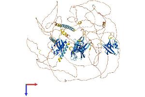 AlphaFold protein structure predicition of Human Recombinant PARD3 Protein, UniprotID Q8TEW0