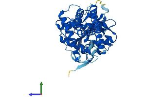 AlphaFold protein structure predicition of Mouse Recombinant Ugcg Protein, UniprotID O88693