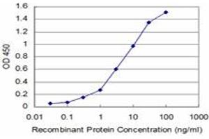 Detection limit for recombinant GST tagged DNTT is approximately 0.