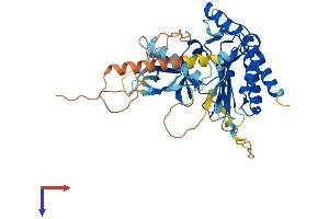 AlphaFold protein structure predicition of Mouse Recombinant Ip6k2 Protein, UniprotID Q80V72