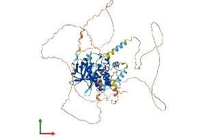 AlphaFold protein structure predicition of Human Recombinant DCLK3 Protein, UniprotID Q9C098