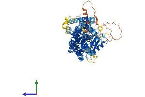 AlphaFold protein structure predicition of Human Recombinant TUBGCP4 Protein, UniprotID Q9UGJ1