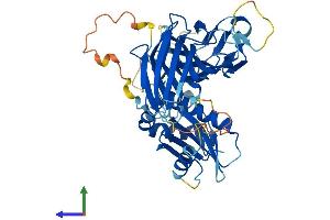 AlphaFold protein structure predicition of Human Recombinant AP4M1 Protein, UniprotID O00189