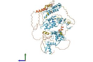 AlphaFold protein structure predicition of Human Recombinant ZNF749 Protein, UniprotID O43361