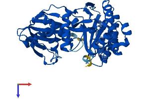 AlphaFold protein structure predicition of Mouse Recombinant Galk1 Protein, UniprotID Q9R0N0