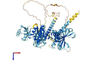 AlphaFold protein structure predicition of Human Recombinant IGF2BP1 Protein, UniprotID Q9NZI8