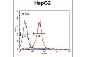 ALDH2 Monoclonal Antibody (ABIN658993 and ABIN2838036) flow cytometric analysis of HepG2 cells (right histogram) compared to a negative control cell (left histogram). (ALDH2 anticorps)