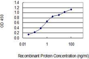 Detection limit for recombinant GST tagged NXNL1 is 0. (NXNL1 anticorps  (AA 81-190))