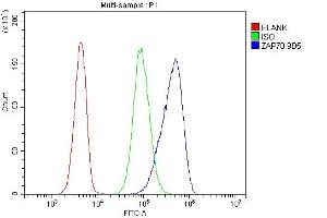 Flow Cytometry analysis of 293T cells using anti- ZAP70 antibody (ABIN7602981).