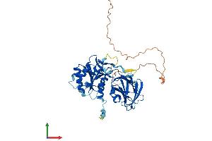 AlphaFold protein structure predicition of Mouse Recombinant Nadk Protein, UniprotID P58058