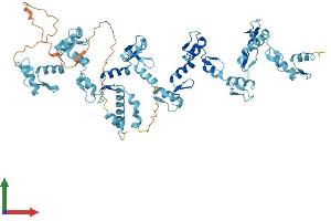 AlphaFold protein structure predicition of Human Recombinant ZNF30 Protein, UniprotID P17039