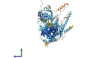 AlphaFold protein structure predicition of Mouse Recombinant Atp8b1 Protein, UniprotID Q148W0