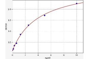 Matrix Metallopeptidase 12 (Macrophage Elastase) (MMP12) ELISA Kit