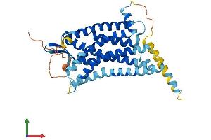 AlphaFold protein structure predicition of Human Recombinant GPR15 Protein, UniprotID P49685