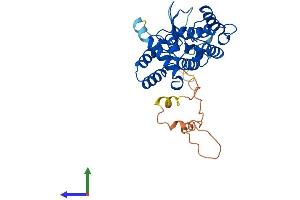 AlphaFold protein structure predicition of Mouse Recombinant Chn2 Protein, UniprotID Q80XD1