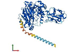 AlphaFold protein structure predicition of Human Recombinant GALNT13 Protein, UniprotID Q8IUC8