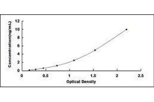 Prostaglandin E Synthase (PTGES) ELISA Kit
