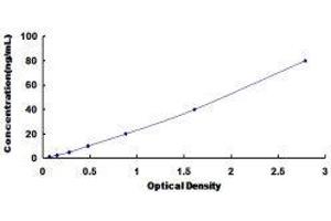 ELISA image for Apolipoprotein E (APOE) ELISA Kit (ABIN415953)