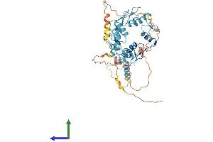 AlphaFold protein structure predicition of Human Recombinant ZSCAN21 Protein, UniprotID Q9Y5A6