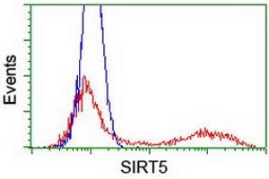 Flow Cytometry (FACS) image for anti-Sirtuin 5 (SIRT5) antibody (ABIN1500935) (SIRT5 anticorps)