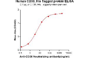 ELISA plate pre-coated by 2 μg/mL (100 μL/well) Human CD30, His tagged protein (ABIN6961166, ABIN7042361 and ABIN7042362) can bind Anti-CD30 Neutralizing antibody ABIN6964430 and ABIN7272566 in a linear range of 0.