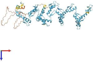 AlphaFold protein structure predicition of Human Recombinant ZNF799 Protein, UniprotID Q96GE5