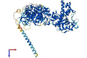 AlphaFold protein structure predicition of Human Recombinant NDST3 Protein, UniprotID O95803
