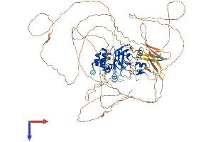 AlphaFold protein structure predicition of Mouse Recombinant Kmt5b Protein, UniprotID Q3U8K7