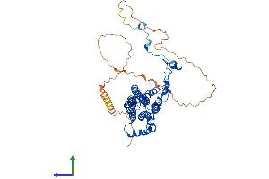 AlphaFold protein structure predicition of Mouse Recombinant Best1 Protein, UniprotID O88870