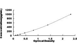 Typical standard curve (FGF6 Kit ELISA)