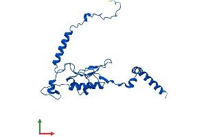 AlphaFold protein structure predicition of Mouse Recombinant Rpl13 Protein, UniprotID P47963