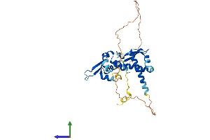 AlphaFold protein structure predicition of Human Recombinant MAGEA3 Protein, UniprotID P43357