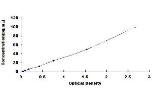 Typical standard curve