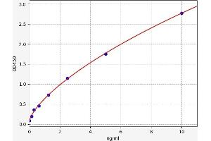 Typical standard curve (IRF5 Kit ELISA)