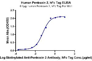 Immobilized Human Pentraxin 2, hFc Tag at 1 μg/mL (100 μL/Well) on the plate.