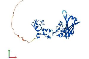 AlphaFold protein structure predicition of Human Recombinant SIAH1 Protein, UniprotID Q8IUQ4