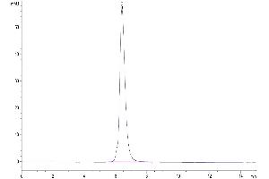 The purity of Human PD-1 is greater than 95 % as determined by SEC-HPLC.