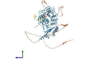 AlphaFold protein structure predicition of Human Recombinant ZKSCAN7 Protein, UniprotID Q9P0L1