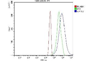 Flow Cytometry analysis of Hela cells using anti-CPT1B antibody (ABIN7600359). (CPT1B anticorps  (AA 180-772))